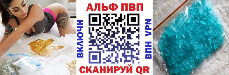 A PVP крисы CK  Терек 
