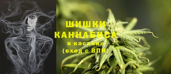 винт Коряжма