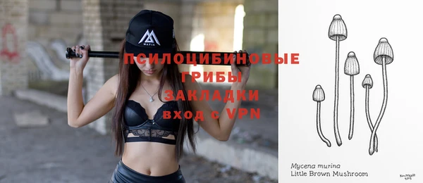 бошки Костерёво