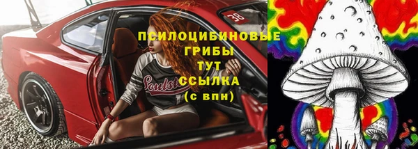 2c-b Козловка