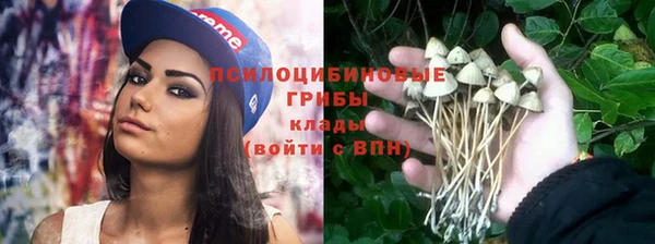 ГАЛЛЮЦИНОГЕННЫЕ ГРИБЫ Кодинск